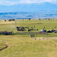Hangman s Creek Ranch images 3
