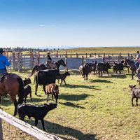 Hangman s Creek Ranch images 4