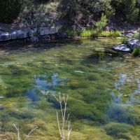 Hangman s Creek Ranch images 6