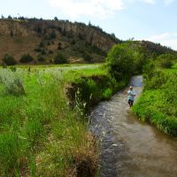 SxS Ranch images 2