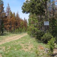 Campbell Deadhorse Lakes Area Mountain Property images 2