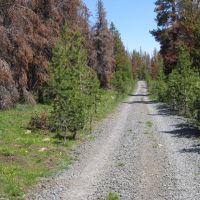 Campbell Deadhorse Lakes Area Mountain Property images 3