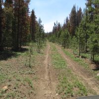 Campbell Deadhorse Lakes Area Mountain Property images 4