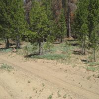 Campbell Deadhorse Lakes Area Mountain Property images 5