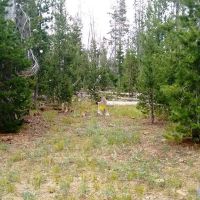Campbell Deadhorse Lakes Area Mountain Property images 6