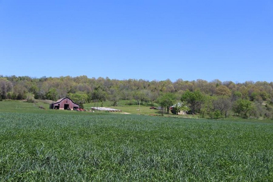 Fresh Water Ranch Bordering Mark Twain National Forest For Sale in Thornfield  MO featured image