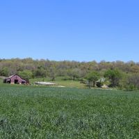 Fresh Water Ranch Bordering Mark Twain National Forest For Sale in Thornfield  MO