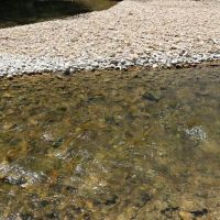 Fresh Water Ranch Bordering Mark Twain National Forest For Sale in Thornfield  MO images 4
