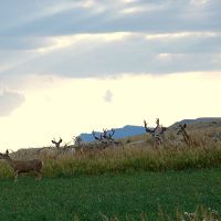 West End River Ranch images 1