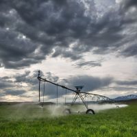 West End River Ranch images 4