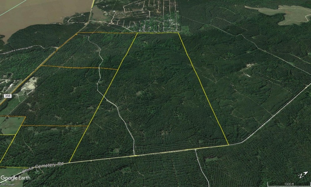 402 Acres &nbsp; Chita Cemetery Rd &nbsp; Brushy Creek &nbsp;   Tract C3 featured image