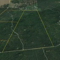 402 Acres &nbsp; Chita Cemetery Rd &nbsp; Brushy Creek &nbsp;   Tract C3