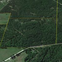 402 Acres &nbsp; Chita Cemetery Rd &nbsp; Brushy Creek &nbsp;   Tract C3 images 4