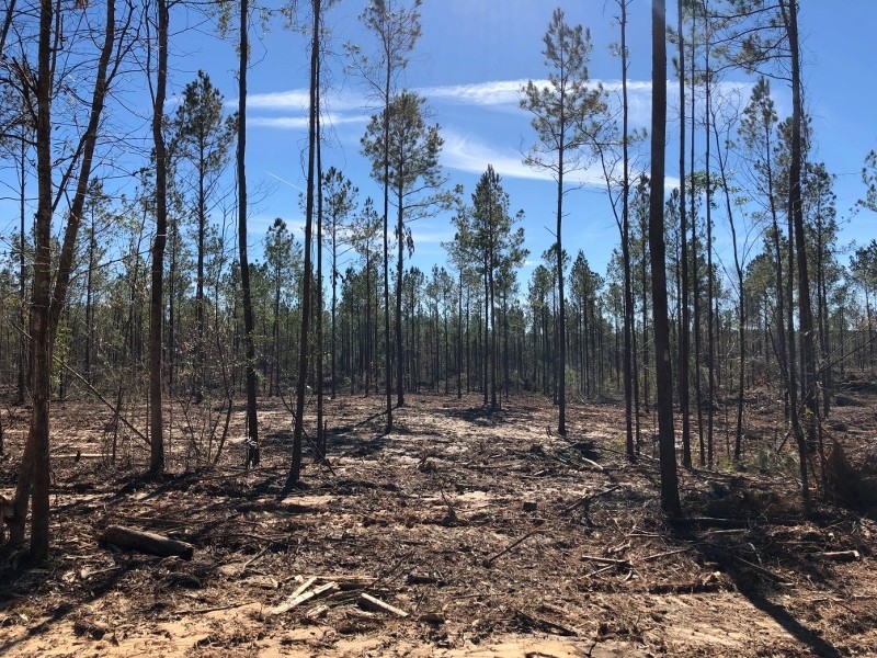 20.90 acres in NPSD featured image