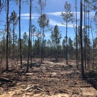 20.90 acres in NPSD images 1