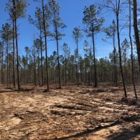 20.90 acres in NPSD images 2