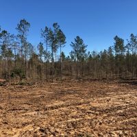 20.90 acres in NPSD images 3