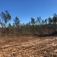 20.90 acres in NPSD images 4