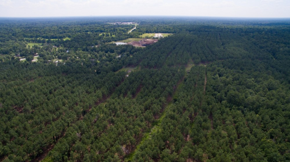 1797 Acres &nbsp; Montgomery County Transition featured image