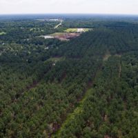1797 Acres &nbsp; Montgomery County Transition images 1