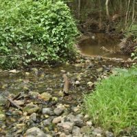 1797 Acres &nbsp; Montgomery County Transition images 3