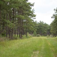 1797 Acres &nbsp; Montgomery County Transition images 6