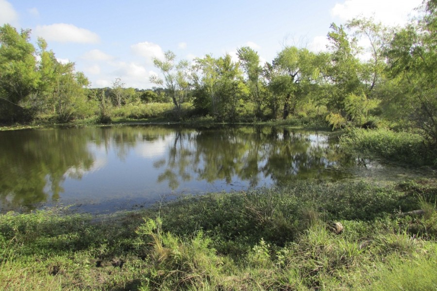 145 Ac &nbsp; Shiro Ranch featured image