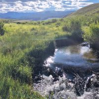 Big Union Ranch images 2