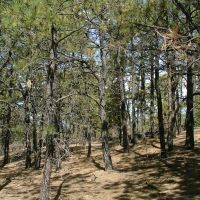 E4 Santa Fe Trail Ranch images 4
