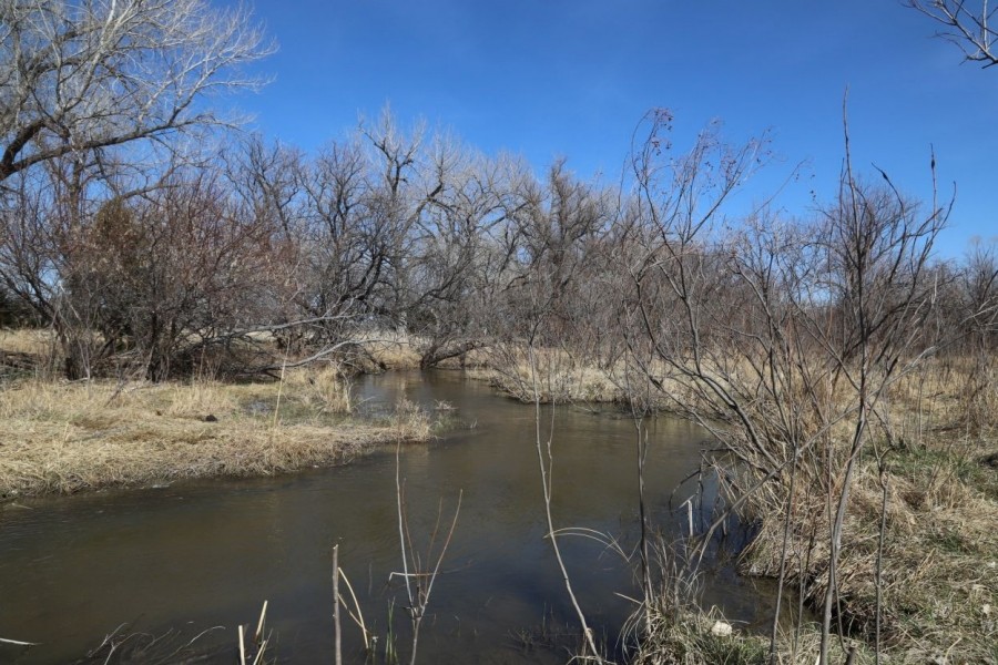 River Valley Ranch Land Auction featured image