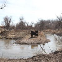 River Valley Ranch Land Auction images 2