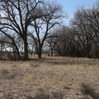 River Valley Ranch Land Auction images 3