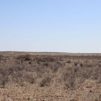 River Valley Ranch Land Auction images 6