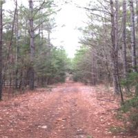 64.5 Acres in Pontotoc County in Shannon  MS images 1