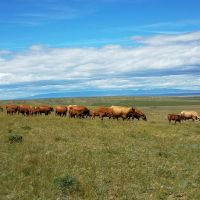 C N Ranch - Hiller Unit images 6