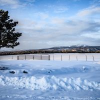 7J Ranch images 5