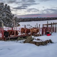 7J Ranch images 6