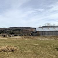 8 acres Off Grid Homestead Burlington NY images 6