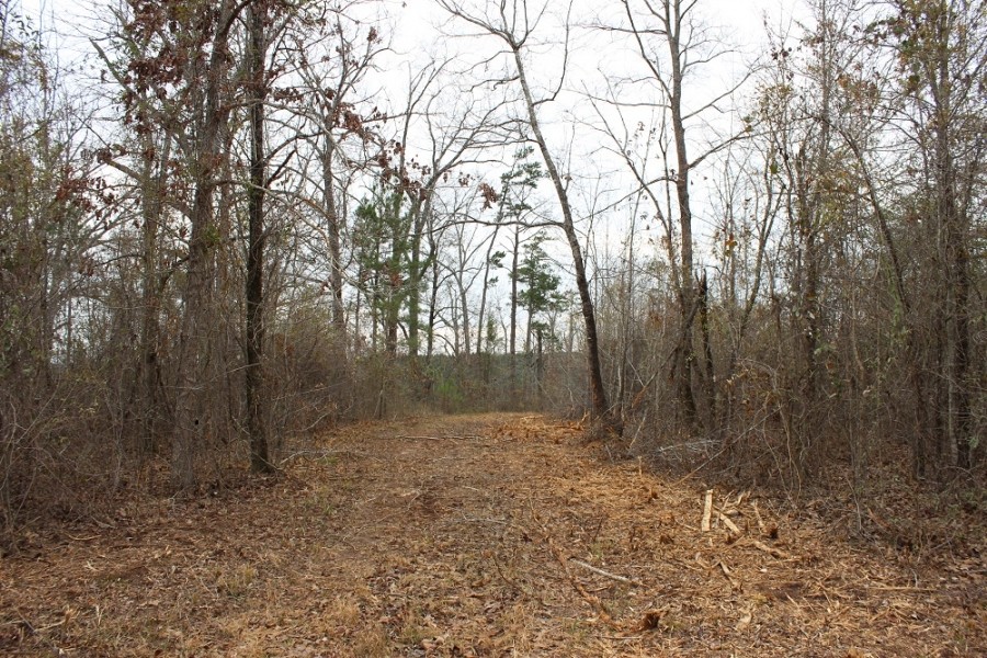 Affordable Hunting or Homesite featured image