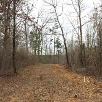 Affordable Hunting or Homesite