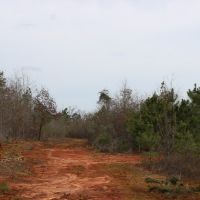 Affordable Hunting or Homesite images 2