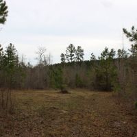 Affordable Hunting or Homesite images 3