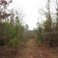 Affordable Hunting or Homesite images 4