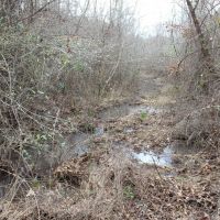 Affordable Hunting or Homesite images 5