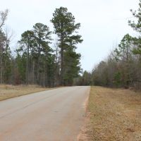 Affordable Hunting or Homesite images 6