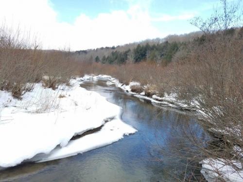 8 acres Hunt Whitesville NY State Rte 248 featured image