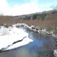 8 acres Hunt Whitesville NY State Rte 248