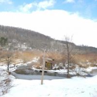 8 acres Hunt Whitesville NY State Rte 248 images 2