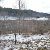 8 acres Hunt Whitesville NY State Rte 248 images 3