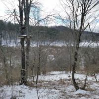 8 acres Hunt Whitesville NY State Rte 248 images 4